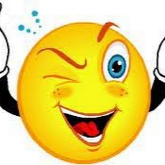 Meet your Posher, Zara - Picture 1 of 1